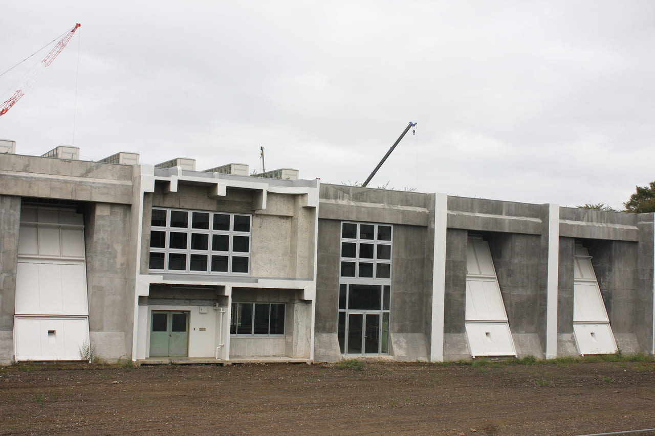 地球を救え 武蔵野市での保護活動