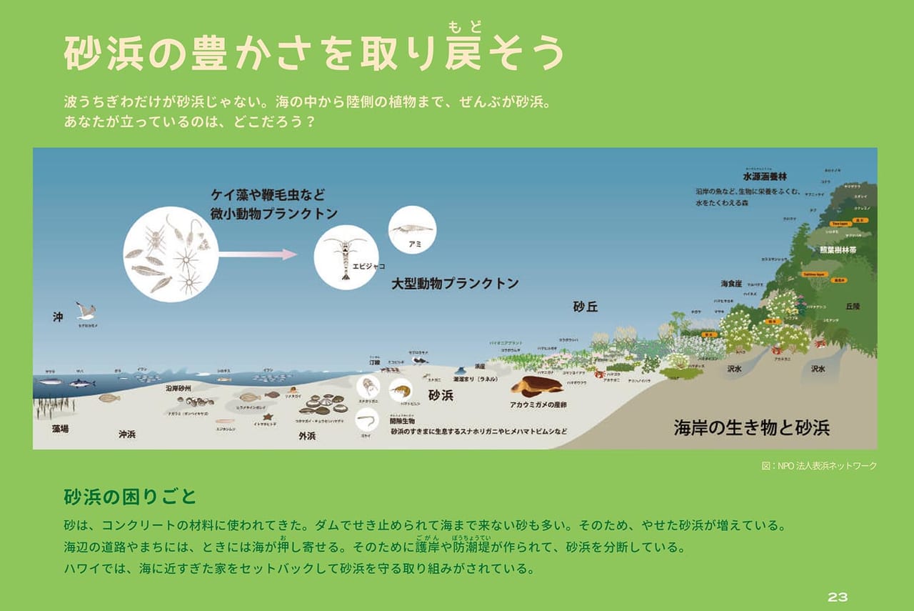 21世紀には日本の6割の砂浜が消滅 重大な環境危機に直面している砂浜問題 豪田ヨシオ部