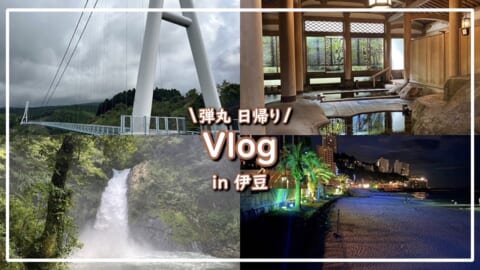 人気観光スポットを深掘り【Vlog】首都圏大学生が発見する静岡の新たな魅力（伊豆）