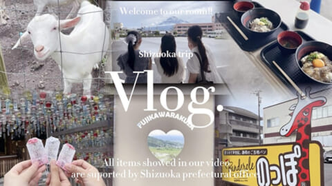 SNS映えスポット多数【Vlog】首都圏大学生が発見する静岡の新たな魅力（東部）